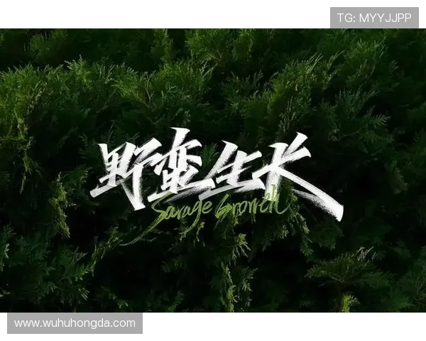 上海篮球队的蜕变之旅从低谷到冠军赛的奋斗与荣耀 上海篮球队的蜕变之旅从低谷到冠军赛的奋斗与荣耀