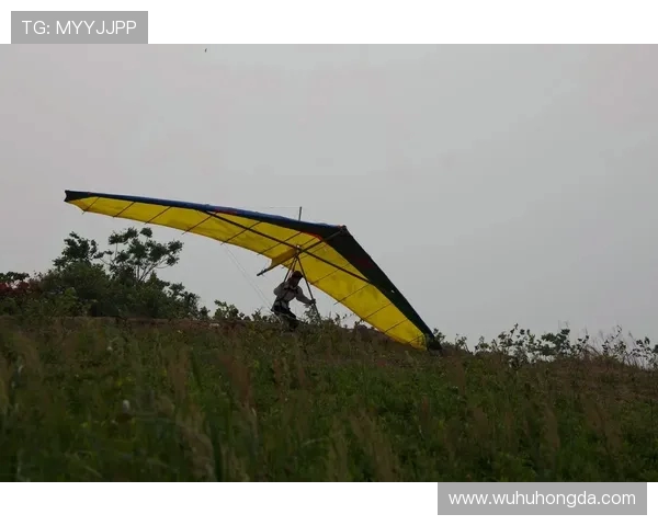 北京极限运动队突破极限速度创历史新高引发热议