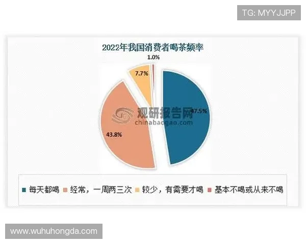 南京排球队实力分析与发展前景的深度探讨与展望 南京排球队实力分析与发展前景的深度探讨与展望