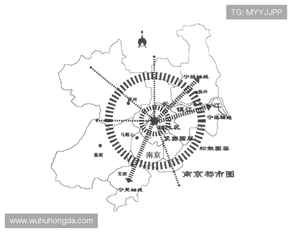 南京篮球队运营分析：成功经验与不足之处的深度剖析