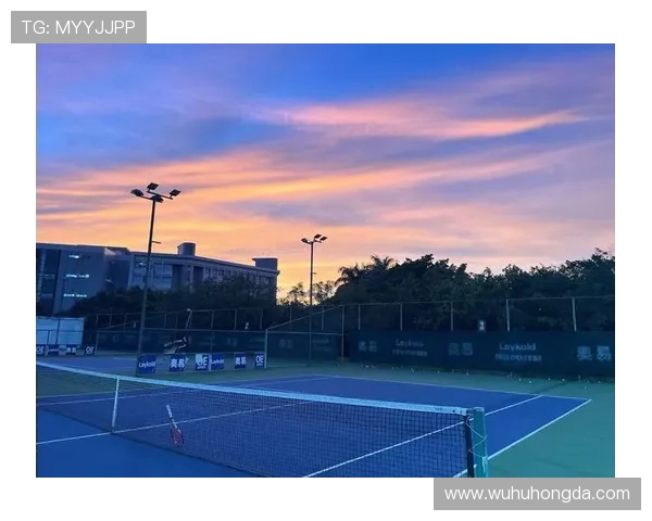 广州网球队防守革新之路探秘与未来展望 广州网球队防守革新之路探秘与未来展望