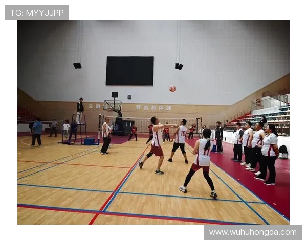 杭州排球队在排球意识排行榜中荣获第六名的荣耀成就分析