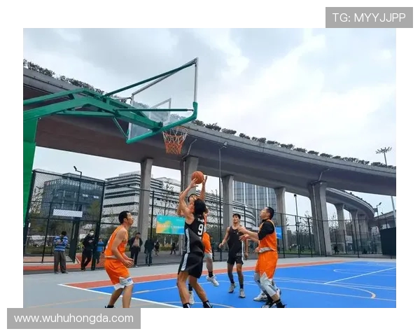 杭州篮球队的奋斗历程与荣耀时刻全景纪实