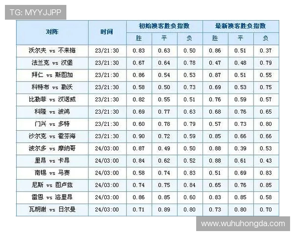 深入探讨杭州网球队的力量表现与数据分析背后的秘密与启示