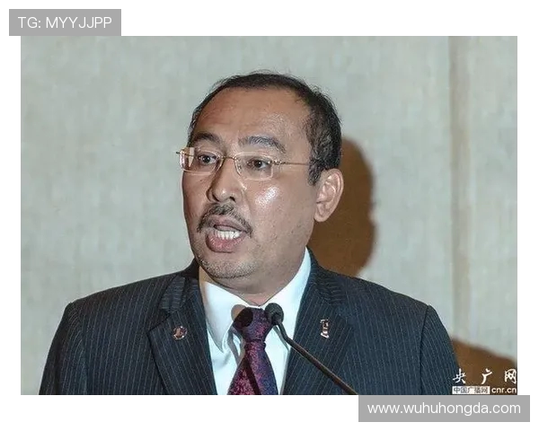 深圳乒乓球队的拼搏历程与荣耀时刻全景回顾