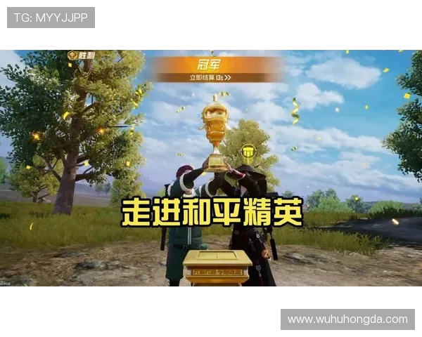 王芳专访揭秘和平精英成功背后的策略与创新之路 王芳专访揭秘和平精英成功背后的策略与创新之路