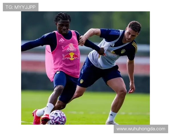 纽卡斯尔联队迎战利兹联队期待精彩对决与激烈竞争 纽卡斯尔联队迎战利兹联队期待精彩对决与激烈竞争