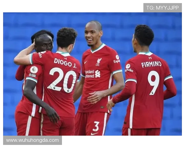 诺维奇与布莱顿精彩对决直播全程回顾与分析