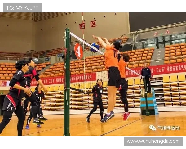 杭州排球队灵活性变革引发热议助力竞技水平提升与战术创新