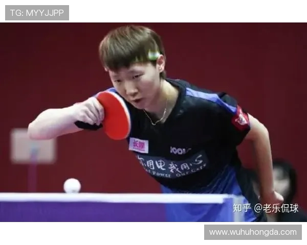 武汉乒乓球队实力分析与表现评估的全面研究报告