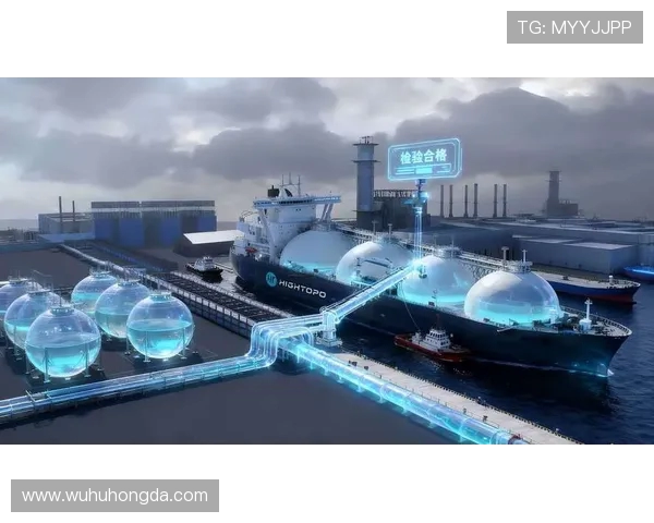 全球挑战赛特别报道LNG行业的艰辛历程与未来展望