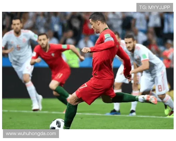 北京排球队在联合会杯中的团队协作表现分析与点评