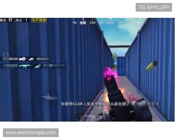 和平精英战队FPX的荣耀之路与成长历程全景回顾