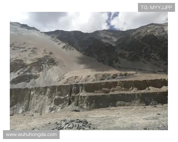 对话杨秀英：探索和平精英背后的成长与挑战之路