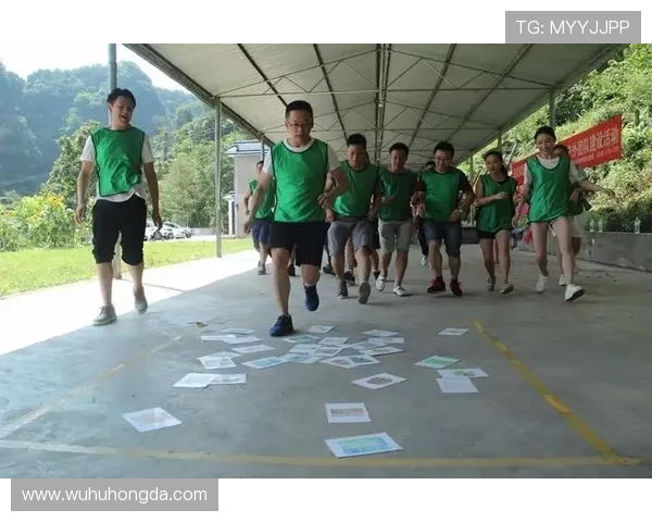 成都乒乓球队展现卓越团队协作精神助力联赛精彩表现