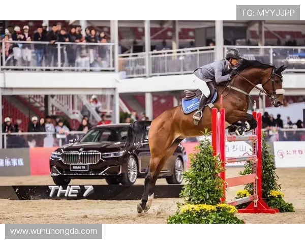 成都篮球队的速度之道：如何在赛场上引领潮流与激情